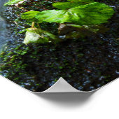 Grüner Wasserfall Poster (Ecke)