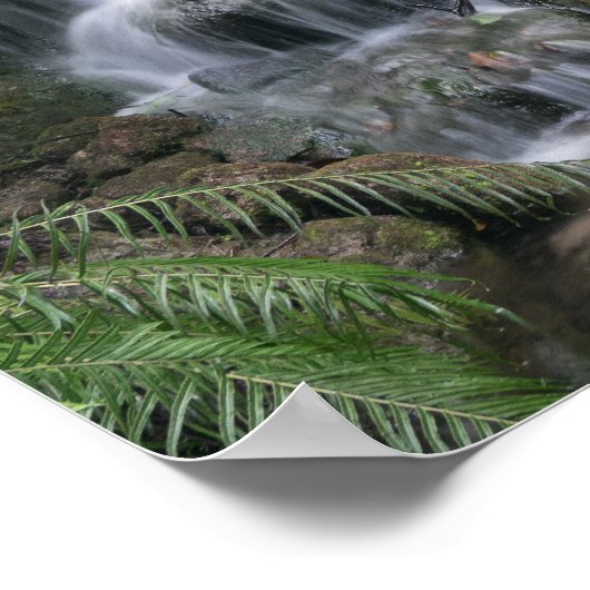 Grüner Wasserfall Poster (Ecke)