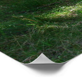 Grüner Weg Poster (Ecke)