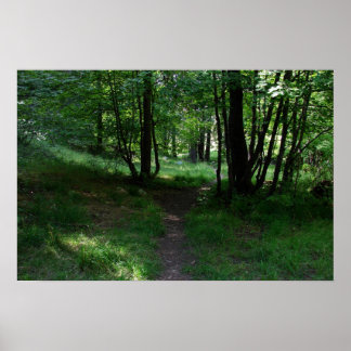 Grüner Weg Poster