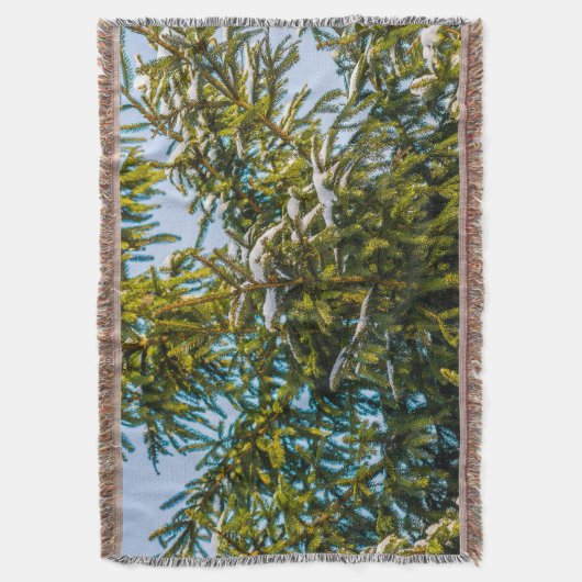 Grüner Weihnachtsbaum im Schnee Decke (Vorderseite Vertikal)