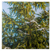 Grüner Weihnachtsbaum im Schnee Fliese (Vorderseite)