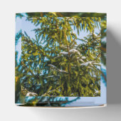 Grüner Weihnachtsbaum im Schnee Geschenkschachtel (Oben)