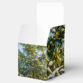 Grüner Weihnachtsbaum im Schnee Geschenkschachtel (Geöffnet)