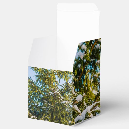 Grüner Weihnachtsbaum im Schnee Geschenkschachtel (Geöffnet)