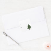 Grüner Weihnachtsbaum Quadratischer Aufkleber (Umschlag)