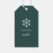 Grüner Weihnachtsgeschenkanhänger Geschenkanhänger (Rückseite)