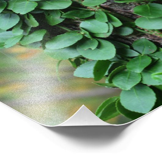 Grüner Weinanbau auf Baumstamm 8x10 Fotodruck (Ecke)