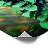 Grüner Weinanbau auf Baumstamm Poster (Ecke)