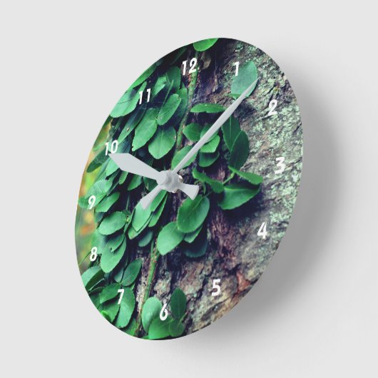 Grüner Weinanbau auf Baumstamm Runde Wanduhr (Winkel)
