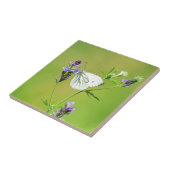 Grüner Weißschmetterling Fliese (Seite)