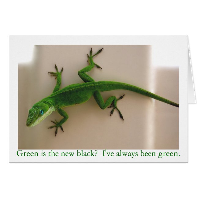 Grünes Anole (Vorderseite (Horizontal))