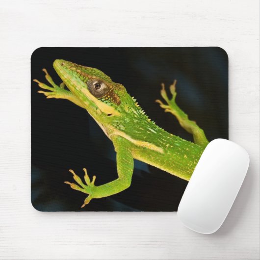 Grünes Anole Mousepad (Mit Mouse)