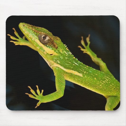 Grünes Anole Mousepad (Vorne)