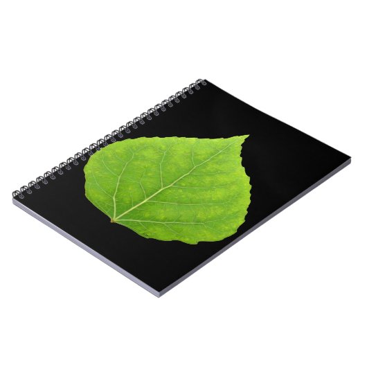 Grünes Aspen-Blatt #11 Notizblock (Linke Seite)