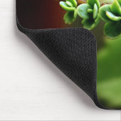Grünes Babysucculents-Pflanzen-Natur-Foto Mousepad (Ecke)