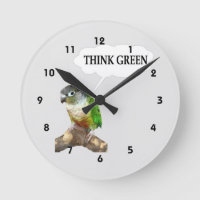 Grünes Backe Conure denke ökologisch