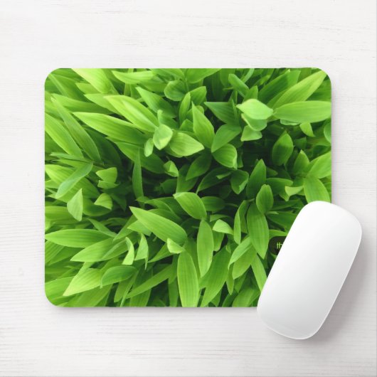 Grünes Bambusmousepad Mousepad (Mit Mouse)