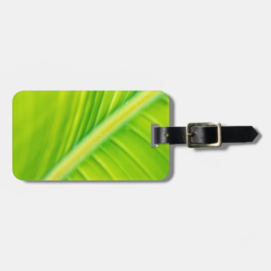 grünes Bananenblatt Gepäckanhänger (Vorderseite horizontal)