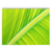grünes Bananenblatt Kalender (Titelbild)