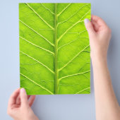 Grünes Blatt (Hand)