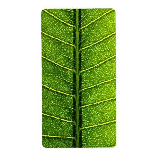 Grünes Blatt (Vorne)