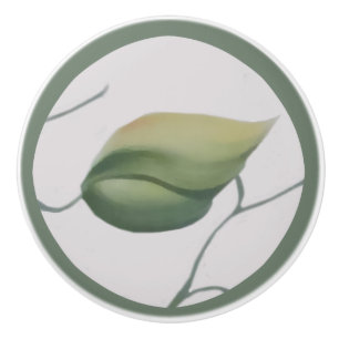 Grünes Blatt auf Sahnehintergrund Keramikknauf