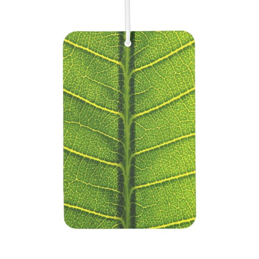 Grünes Blatt Autolufterfrischer (Vorderseite)