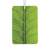 Grünes Blatt Autolufterfrischer (Rückseite)