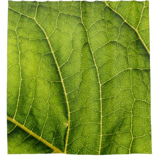 Grünes Blatt Duschvorhang (Vorderseite)