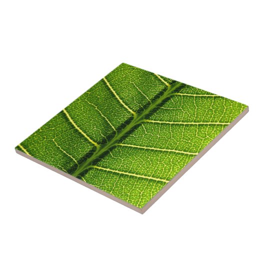 Grünes Blatt Fliese (Seite)