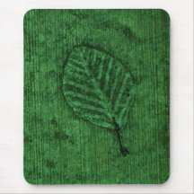 Grünes Blatt Fossil