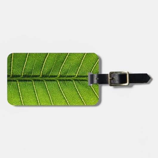 Grünes Blatt Gepäckanhänger (Vorderseite horizontal)