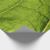 Grünes Blatt Geschenkpapier (Ecke)