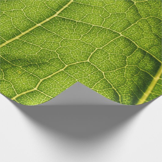 Grünes Blatt Geschenkpapier (Ecke)