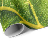 Grünes Blatt Geschenkpapier (Rolleneckpunkt)