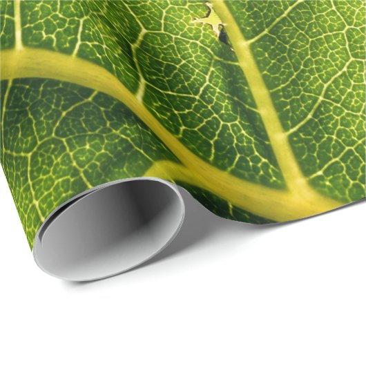 Grünes Blatt Geschenkpapier (Rolleneckpunkt)