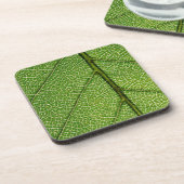 Grünes Blatt im Detail Getränkeuntersetzer (Linke Seite)