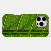 Grünes Blatt iPhone Hülle (Rückseite (Horizontal))