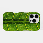 Grünes Blatt iPhone Hülle (Rückseite (Horizontal))
