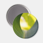 Grünes Blatt Magnet (Vorderseite/Rückseite)