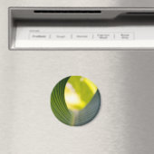 Grünes Blatt Magnet (In Situ (Geschirrspüler))