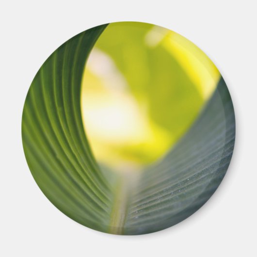 Grünes Blatt Magnet (Vorne)