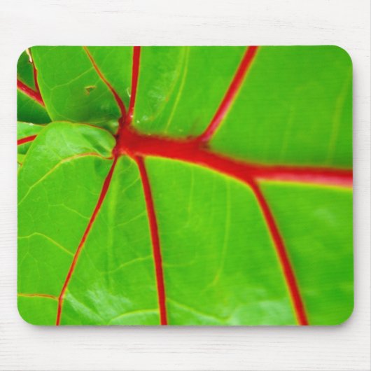 Grünes Blatt mit roten Adern Mousepad (Vorne)