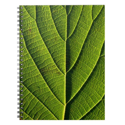 Grünes Blatt Notizblock (Vorderseite)