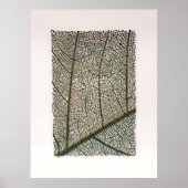 Grünes Blatt Poster (Vorne)