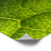 Grünes Blatt Poster (Ecke)