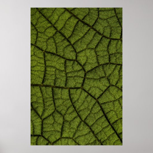 Grünes Blatt Poster (Vorne)
