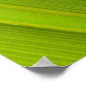 Grünes Blatt Poster (Ecke)