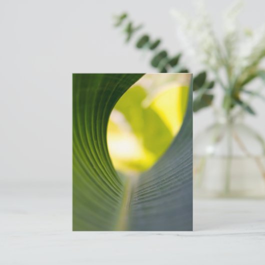 Grünes Blatt Postkarte (Stehend Vorderseite)